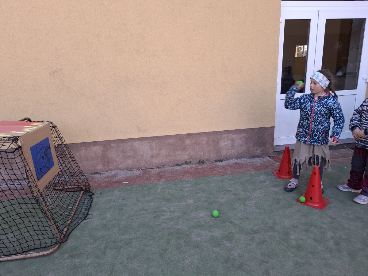 20260429_181116.jpg